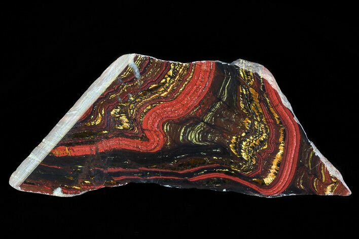 Polished Tiger Iron Stromatolite - ( Billion Years) #75850